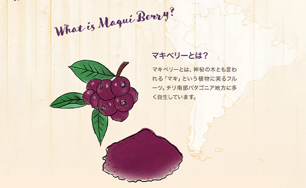 「マキベリーパウダー」300g - Image 4