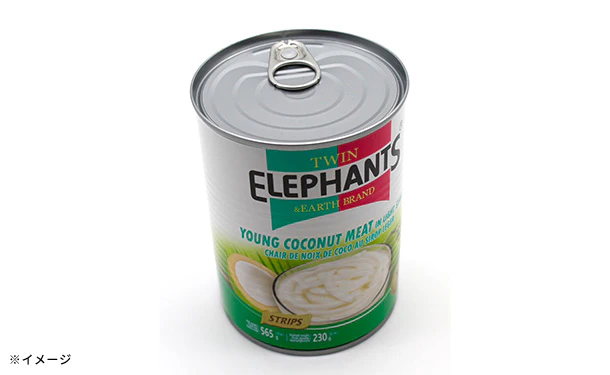 TWIN ELEPHANTS「ココナッツミート（細切り）」 - Image 4