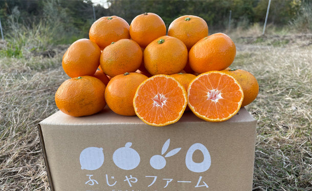 大崎上島産「雹被害の訳あり温州みかん」5kg(50個程度)