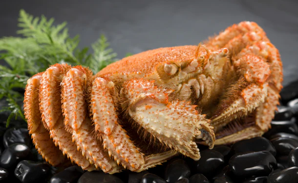 北海道オホーツク産「ボイル毛ガニ」約800g - Image 2