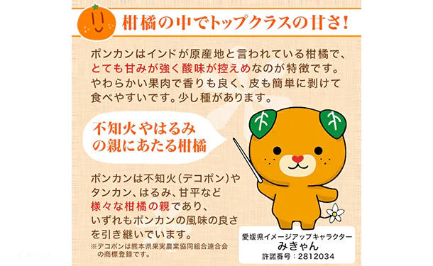 愛媛県産「訳ありポンカン（M-2L）」約5kg - Image 2