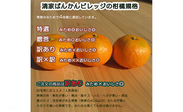 愛媛県産「訳ありポンカン（M-2L）」約10kg - Image 4