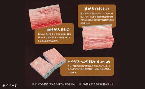 「本マグロ訳あり中トロ」700g - Image 6