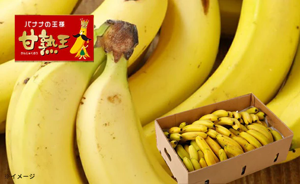 「業務用 訳あり甘熟王バナナ」約15kg - Image 5