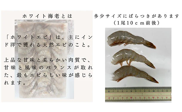 「天然ホワイトえび」1.8kg（約124尾～160尾） - Image 3