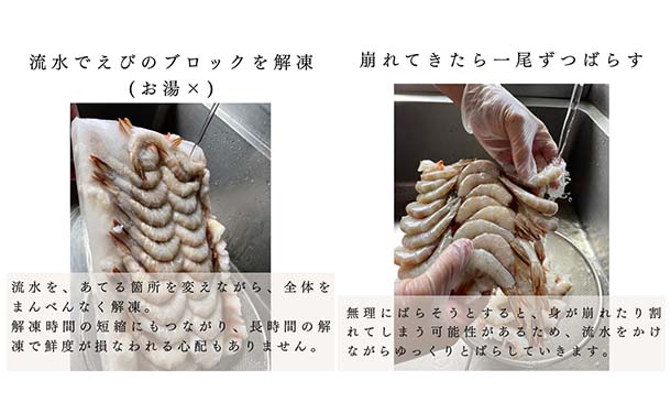 「天然ホワイトえび」1.8kg（約124尾～160尾） - Image 4