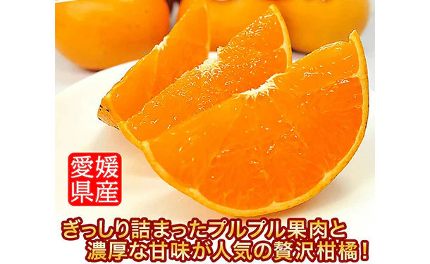 愛媛県産「訳あり せとか 中～大玉（L～4L）」5kg - Image 2