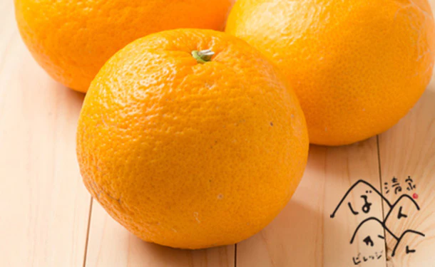 愛媛県産「甘夏柑（L-3L）」10kg - Image 2