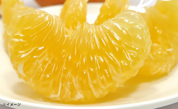 愛媛県産「甘夏柑（L-3L）」10kg - Image 3