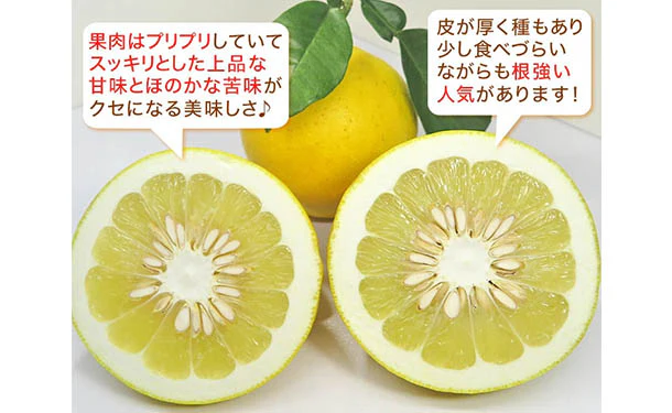 愛媛県産「規格外土佐文旦（M-4L）」5kg - Image 3