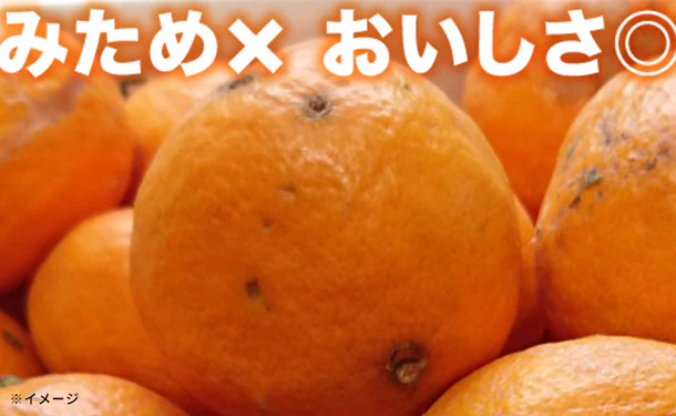 愛媛県産「お試し 訳ありなつみ（2S-2L）」3kg - Image 2