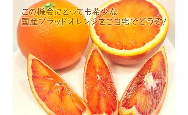 愛媛県産「訳ありブラッドオレンジ（2S-3L）」5kg - Image 2