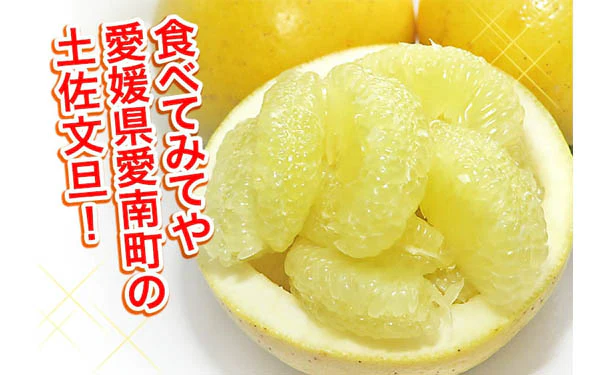 愛媛県産「規格外土佐文旦（M-4L）」9kg - Image 2