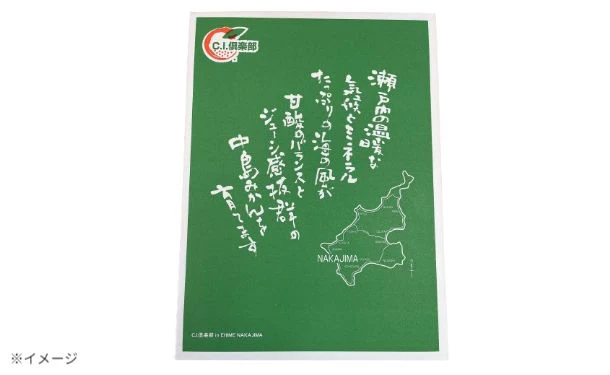 愛媛県産「不知火 化粧箱入り」約3kg 【クラチャレふるさとだより】 - Image 3