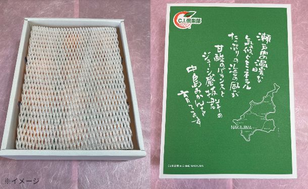 愛媛県産「訳あり 不知火 化粧箱入り」約3kg【クラチャレふるさとだより】 - Image 5