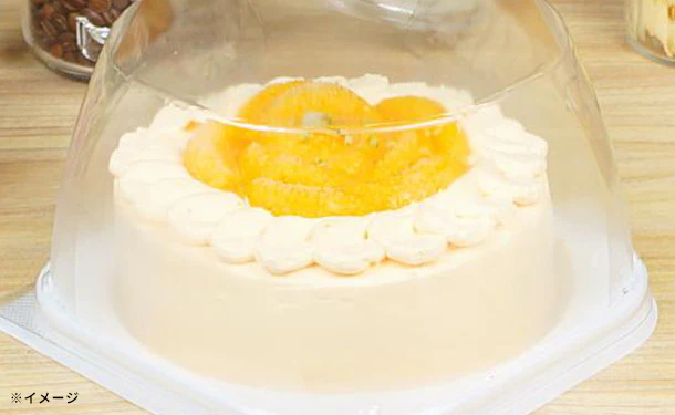 スペイン産「オレンジづくしのショートケーキ 5号」 - Image 3
