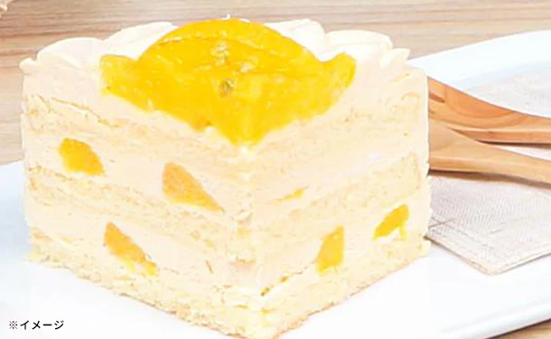 スペイン産「オレンジづくしのショートケーキ 5号」 - Image 5
