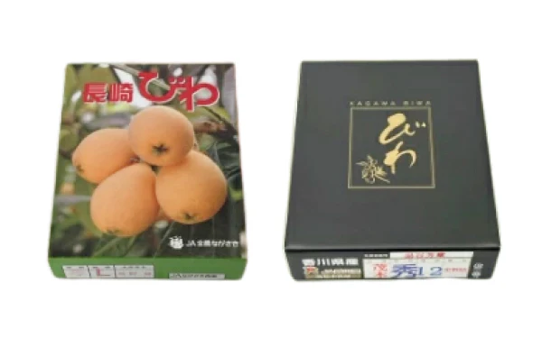 長崎・香川県産「びわ  L～２Lサイズ 化粧箱入り」500g - Image 2
