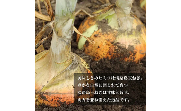 「淡路牛100％ハンバーグ」150g - Image 4