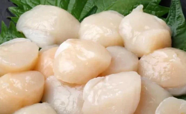 「イタヤ貝 小柱（生食用）」100g - Image 3