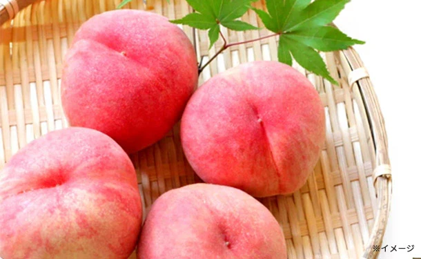 佐賀県産「ハウス桃 3~6玉 化粧箱入」1kg - Image 3