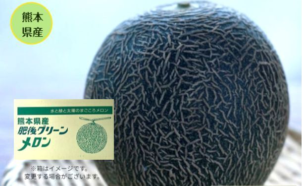 熊本県産「肥後グリーン メロン 2玉」約4kg - Image 2