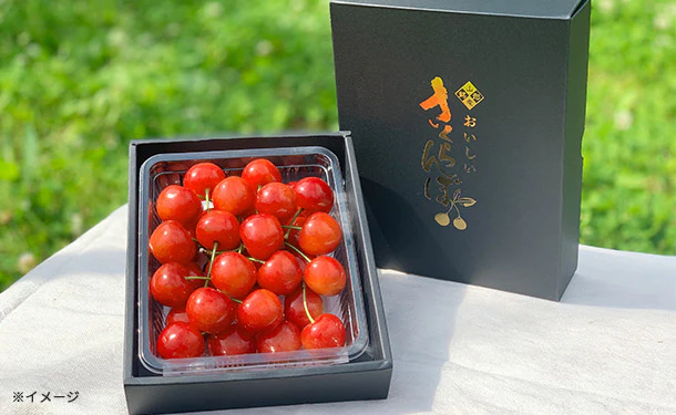 アンスリーファーム「さくらんぼ 佐藤錦 秀品 Lサイズ以上」300g
