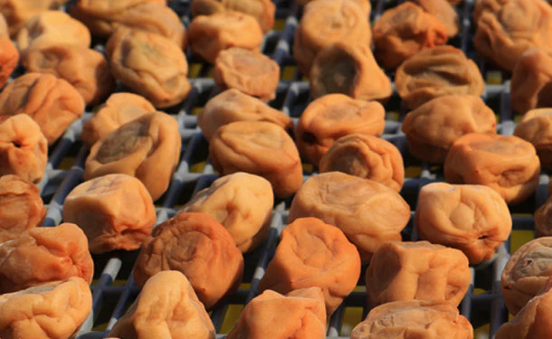 「減塩 紀州産南高梅 つぶれ梅 はちみつ味 梅干し 塩分3％」350g - Image 3