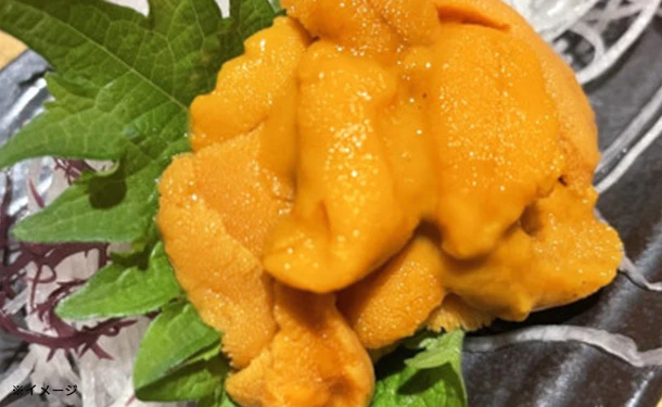 「Kuradashi限定 豪華海鮮福袋（高級食材含む）」7種以上 - Image 9