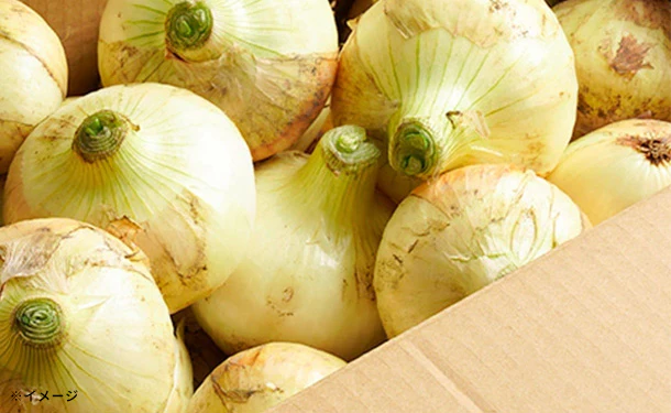 淡路島産「フルーツ新玉ねぎ」約9kg - Image 2
