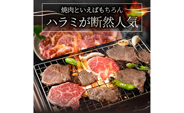 「贅沢赤身の牛ハラミ焼肉」250g - Image 3