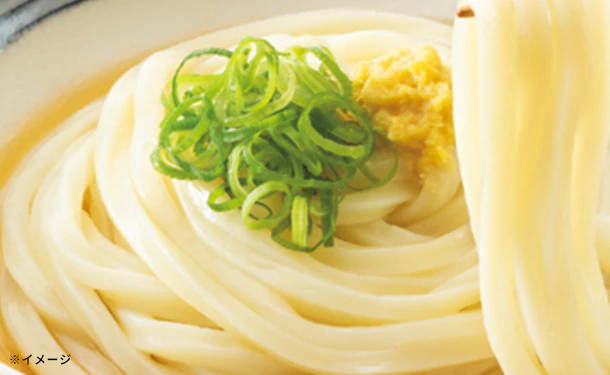 テーブルマーク「丹念仕込み 本場さぬきうどん3食」540g - Image 4