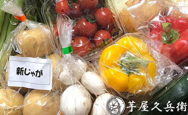 千葉県産・茨城県産「旬の野菜詰め合わせセット 12品目」 - Image 2