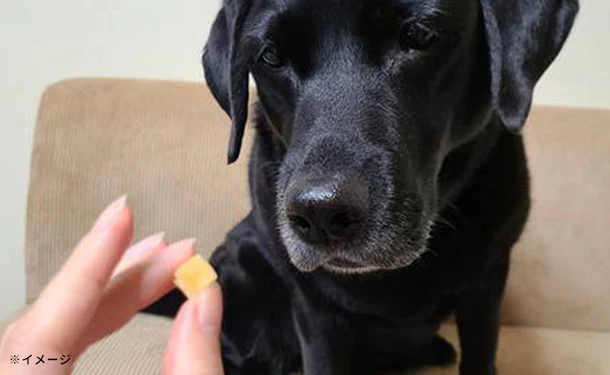 ニューグリーン「ふわっとひとくちササミ」100g - Image 2