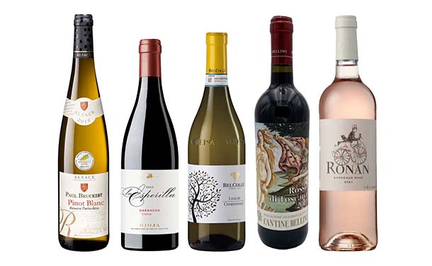 「ブドウ品種飲み比べ！赤白ロゼ10本セット」各750ml - Image 3