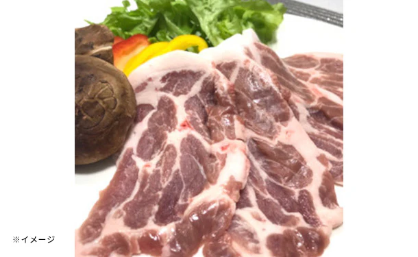静岡県産「幻の赤豚（デュロック種）焼き肉2種セット」計1kg - Image 3