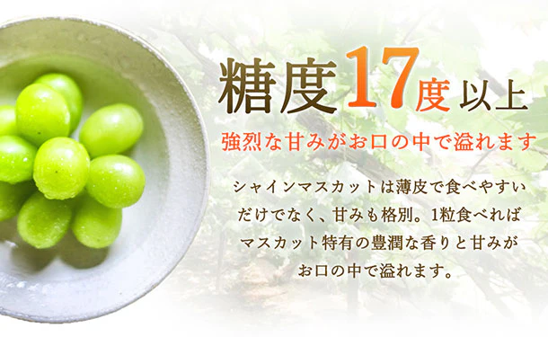 「産地おまかせ シャインマスカット」約400g - Image 2