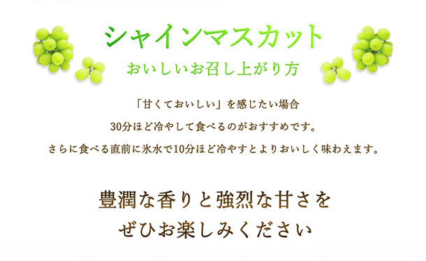 「産地おまかせ シャインマスカット」約400g - Image 4