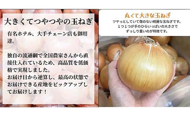 「青果専門仲卸が目利き・選果済み！つやつや玉ねぎ」約3kg - Image 3
