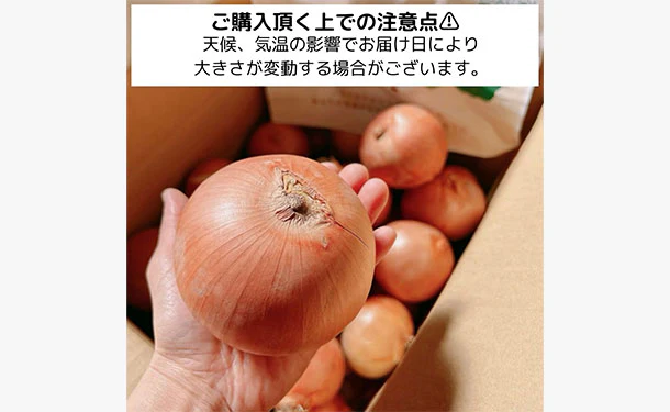 「青果専門仲卸が目利き・選果済み！つやつや玉ねぎ」約3kg - Image 5