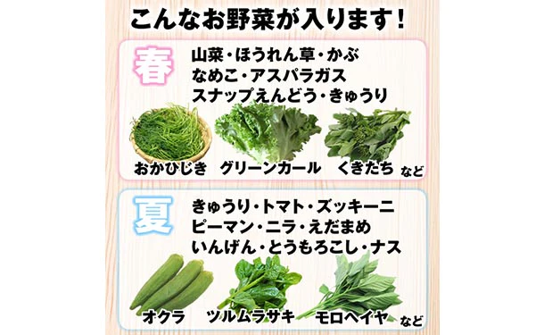 「山形市場直送 おまかせ野菜セット 7品目」 - Image 2