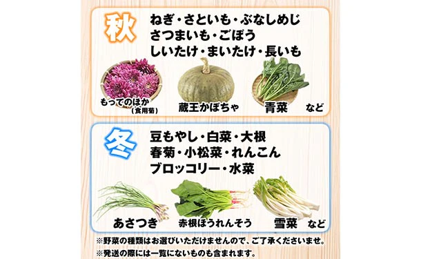 「山形市場直送 おまかせ野菜セット 7品目」 - Image 3
