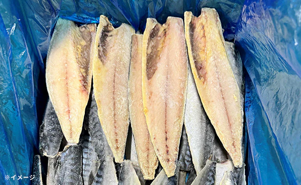 ノルウェー産「訳あり さばフィレ」約5kg - Image 2
