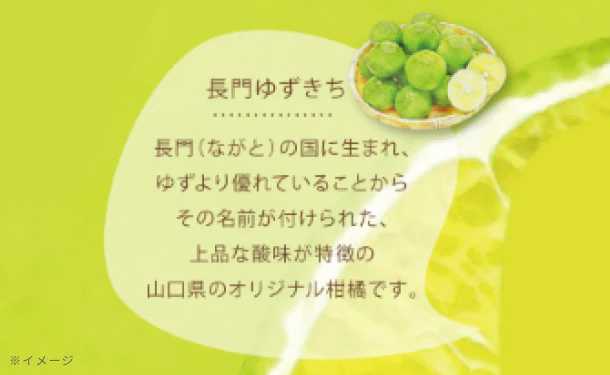 「やまぐち長門ゆずきちサワー」350ml - Image 4