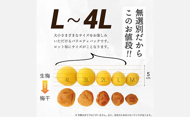 「紀州産南高梅 減塩 つぶれ梅 はちみつ味 梅干し 塩分3％」270g - Image 3
