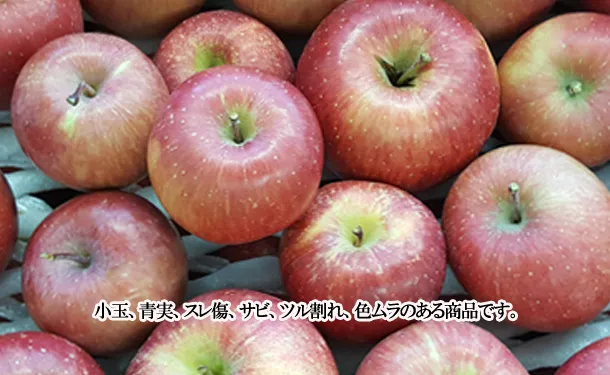 青森県「旬のりんご福箱（数品種・無選別）」約10kg - Image 2