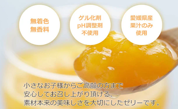愛媛県産「みかんゼリー 不知火」 - Image 2