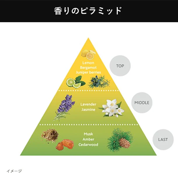 DUO men「ザ 薬用オールインワンシャンプー」300ml - Image 3