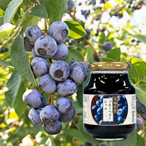 スドージャム「茨城県産ブルーベリージャム」465g - Image 5