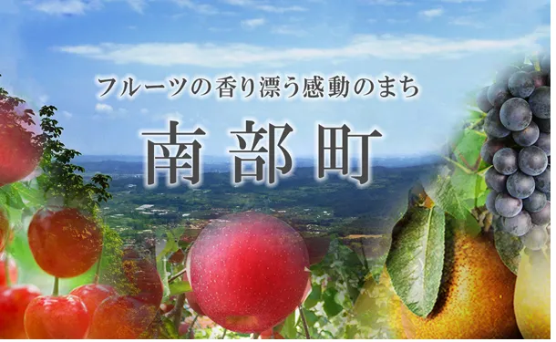 青森県産「無選別 サンジョナゴールド」約5.0kg - Image 2